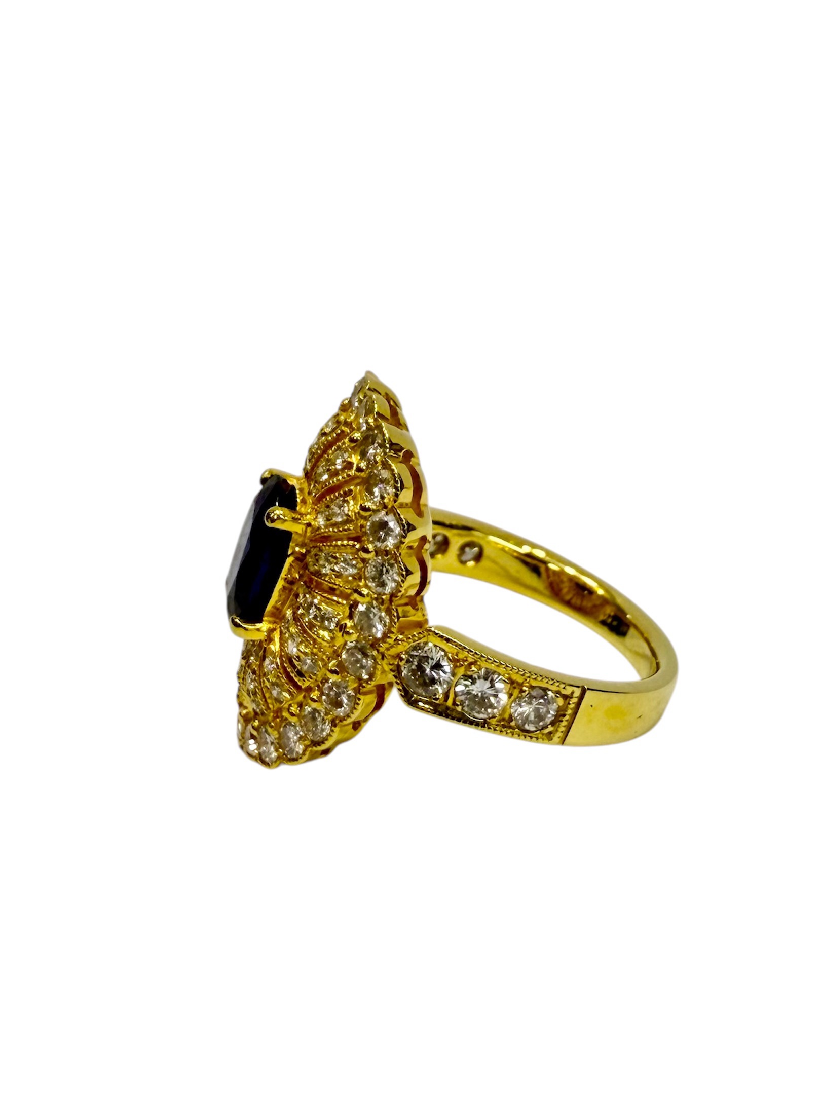 photoroom_20250110_002805